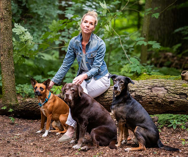 hundetraining 3